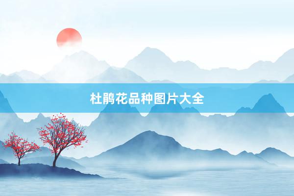 杜鹃花品种图片大全