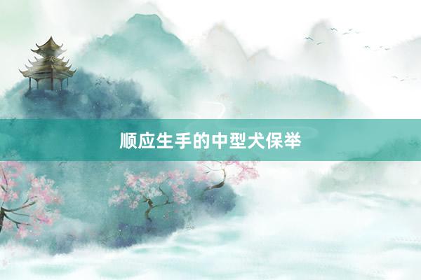 顺应生手的中型犬保举